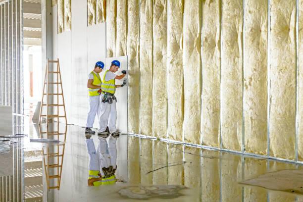 Best Wall Insulation Contractor  in Mmerce City, CO